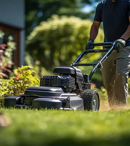 studies-img4 studies-img4